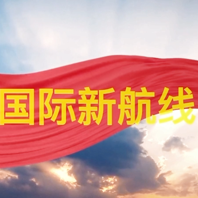 国际新航线